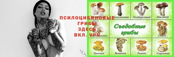шишки Богданович
