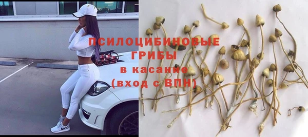 mix Верхний Тагил