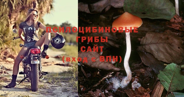 шишки Волосово