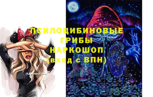 соль ск Слюдянка