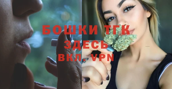 шишки Волосово
